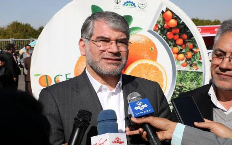 برداشت پیاز طرح استمرار از مزارع جنوب کرمان